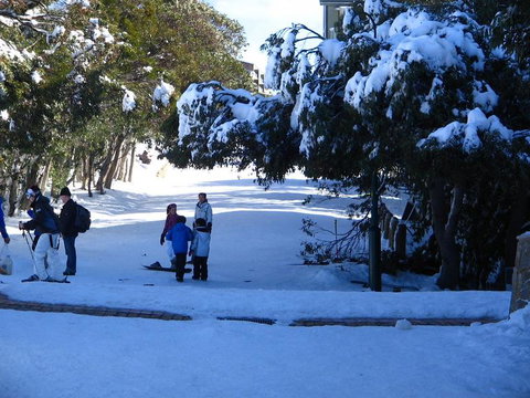 Mt. Buller Ski Tour From Melbourne - Attractions Melbourne 18