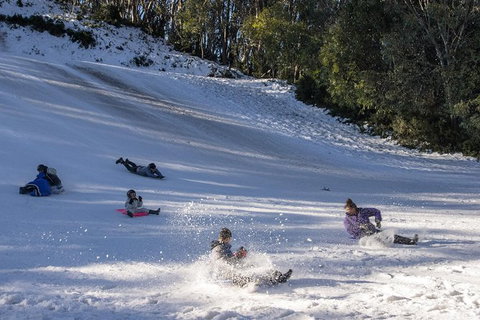 Mt. Buller Ski Tour From Melbourne - Attractions Melbourne 1