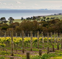 Bellarine Peninsula Small Group Wine Tour with 2 Course Lunch and Morning Tea - Attractions Melbourne