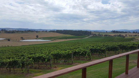 Yarra Valley Winery Tour From Melbourne Including Lunch And Yarra Valley Chocolaterie - Attractions Melbourne 2