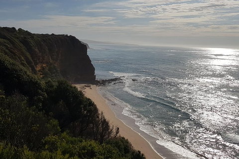 Full-Day Great Ocean Road Tour From Melbourne - Attractions Melbourne 5