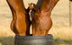 Champion Racehorse Tour With Beer And Wine Tasting - thumb 0