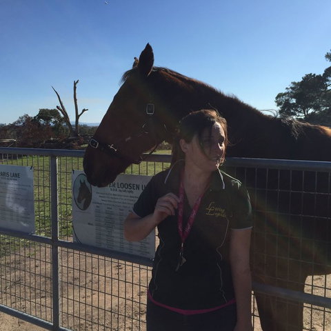 Champion Racehorse Tour With Beer And Wine Tasting - Attractions Melbourne 4