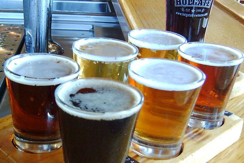 Champion Racehorse Tour With Beer And Wine Tasting - Attractions Melbourne 1