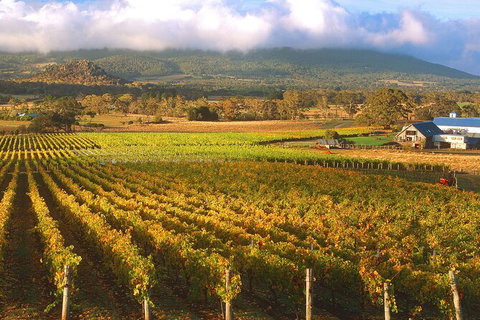 Champion Racehorse Tour With Beer And Wine Tasting - Attractions Melbourne 6