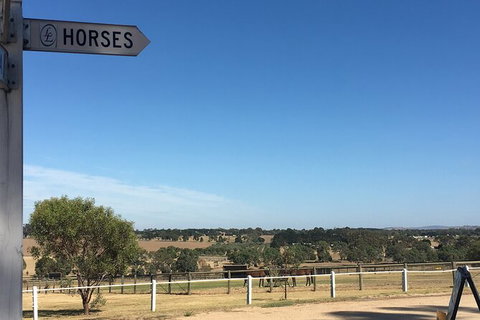 Champion Racehorse Tour With Beer And Wine Tasting - Attractions Melbourne 7