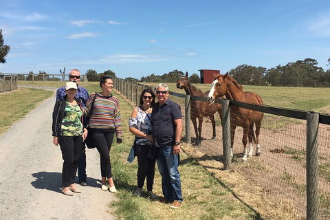 Champion Racehorse Tour With Beer And Wine Tasting - Attractions Melbourne 10