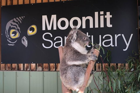 Small-Group Phillip Island Day Trip From Melbourne - Attractions Melbourne 7