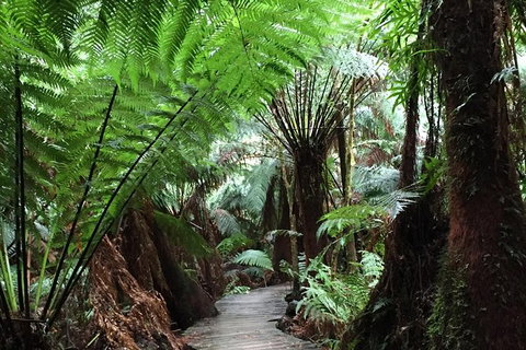 2-Day Great Ocean Road And Warrnambool Tour - Attractions Melbourne 3