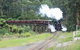 Puffing Billy (Dandenong Ranges & Brighton Bathing Boxes ) Experience - thumb 0