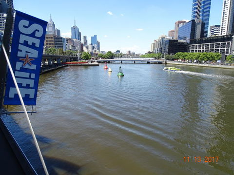 SEA LIFE Melbourne Aquarium Admission Ticket - Attractions Melbourne 7