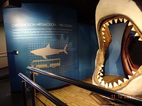 SEA LIFE Melbourne Aquarium Admission Ticket - Attractions Melbourne 10