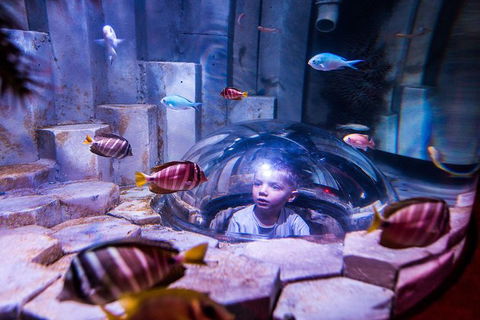 SEA LIFE Melbourne Aquarium Admission Ticket - Attractions Melbourne 0