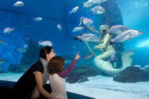 SEA LIFE Melbourne Aquarium Admission Ticket - Attractions Melbourne 14