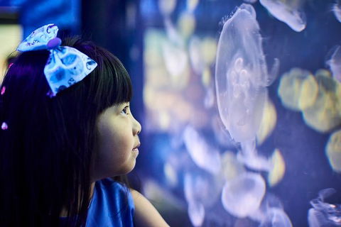 SEA LIFE Melbourne Aquarium Admission Ticket - Attractions Melbourne 17