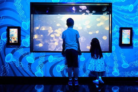 SEA LIFE Melbourne Aquarium Admission Ticket - Attractions Melbourne 18