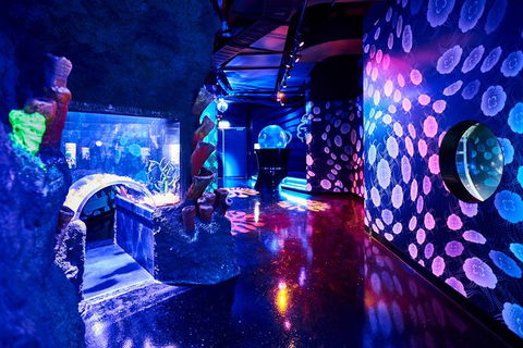 SEA LIFE Melbourne Aquarium Admission Ticket - Attractions Melbourne 13