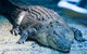 SEA LIFE Melbourne Aquarium Admission Ticket - thumb 20