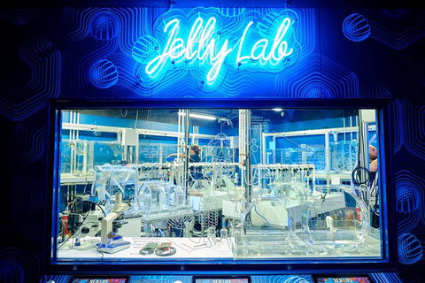 SEA LIFE Melbourne Aquarium Admission Ticket - Attractions Melbourne 24