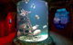 SEA LIFE Melbourne Aquarium Admission Ticket - thumb 23