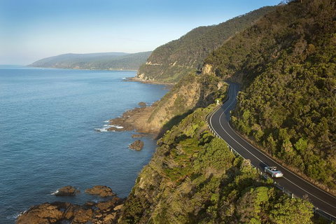 Private Great Ocean Road And Twelve Apostles Tour From Melbourne - Attractions Melbourne 5