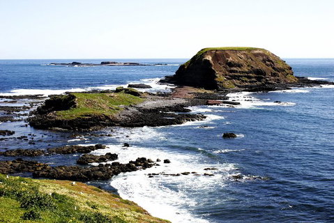 Private Phillip Island Penguin Parade Tour - Attractions Melbourne 3