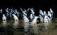 Private Phillip Island Penguin Parade Tour - thumb 2