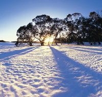 Private Lake Mountain Snow Tour from Melbourne - Attractions Melbourne