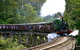 Private Dandenong Ranges Tour Including Puffing Billy - thumb 0