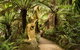 Private Dandenong Ranges Tour Including Puffing Billy - thumb 4