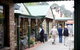 Private Dandenong Ranges Tour Including Puffing Billy - thumb 3