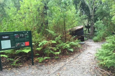 Wilsons Promontory Walking And Sightseeing Tour From Phillip Island - Attractions Melbourne 1