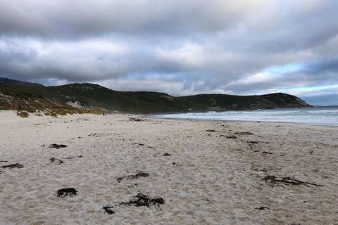 Wilsons Promontory Walking And Sightseeing Tour From Phillip Island - Attractions Melbourne 11