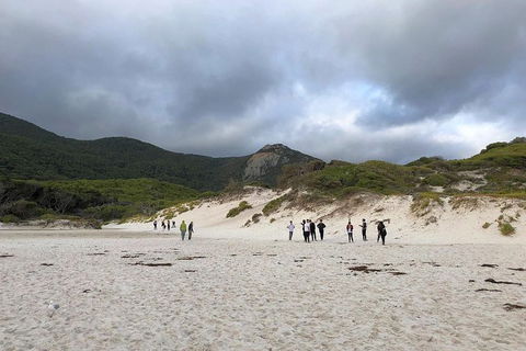 Wilsons Promontory Walking And Sightseeing Tour From Phillip Island - Attractions Melbourne 4