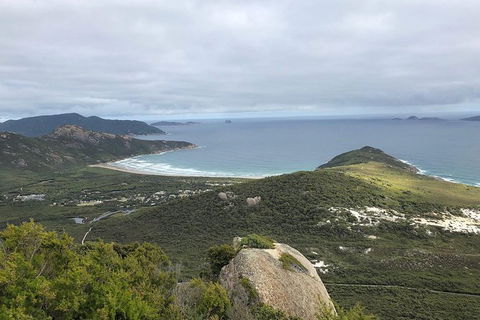 Wilsons Promontory Walking And Sightseeing Tour From Phillip Island - Attractions Melbourne 12