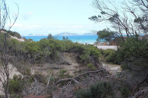 Wilsons Promontory Walking And Sightseeing Tour From Phillip Island - Attractions Melbourne 14