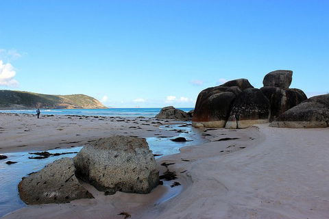 Wilsons Promontory Walking And Sightseeing Tour From Phillip Island - Attractions Melbourne 10