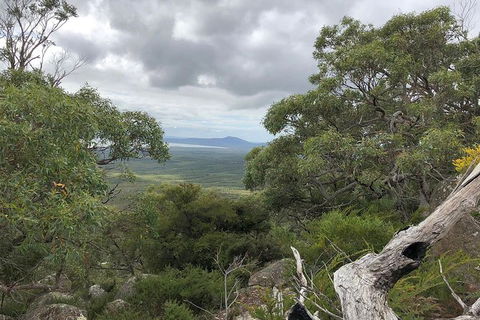 Wilsons Promontory Walking And Sightseeing Tour From Phillip Island - Attractions Melbourne 13