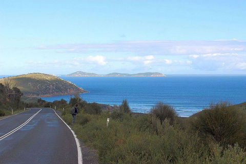 Wilsons Promontory Walking And Sightseeing Tour From Phillip Island - Attractions Melbourne 2