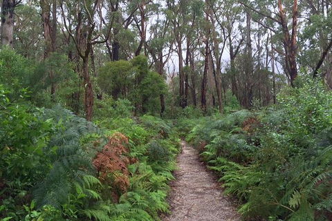 Wilsons Promontory Walking And Sightseeing Tour From Phillip Island - Attractions Melbourne 6