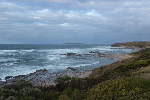Wilsons Promontory Day Trip From Phillip Island - Attractions Melbourne 1