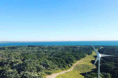 Hiking & Hot Springs On The Mornington Peninsula - Attractions Melbourne 1