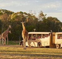 Sunset Safari at Werribee Open Range Zoo - Attractions Melbourne