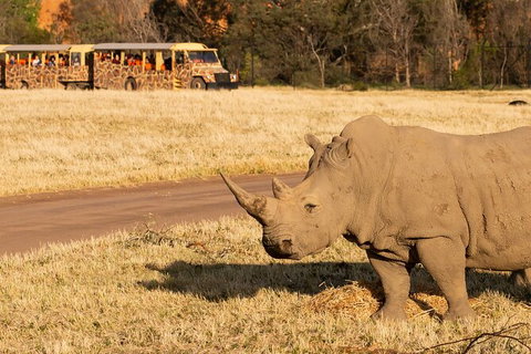Sunset Safari At Werribee Open Range Zoo - Attractions Melbourne 6