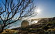 Great Ocean Road Tour With Instagram Sunset Views At 12 Apostles From Melbourne - thumb 1