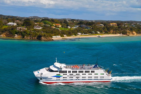 Great Ocean Road Reverse Itinerary And Phillip Island 2 Day Wildlife Encounter - Attractions Melbourne 15