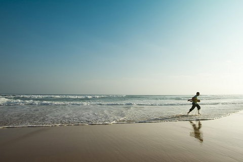 Great Ocean Road Reverse Itinerary And Phillip Island 2 Day Wildlife Encounter - Attractions Melbourne 3