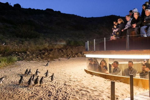 Great Ocean Road Reverse Itinerary And Phillip Island 2 Day Wildlife Encounter - Attractions Melbourne 9