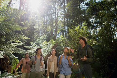 Great Ocean Road Reverse Itinerary And Phillip Island 2 Day Wildlife Encounter - Attractions Melbourne 13