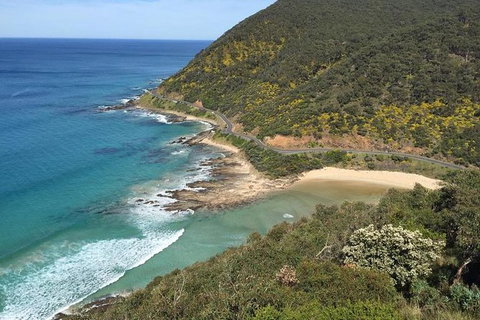 Great Ocean Road Reverse Itinerary And Phillip Island 2 Day Wildlife Encounter - Attractions Melbourne 5